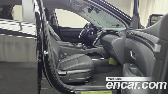 Hyundai Tucson (NX4) Diesel 2.0 2WD Modern 2023 — фото 11