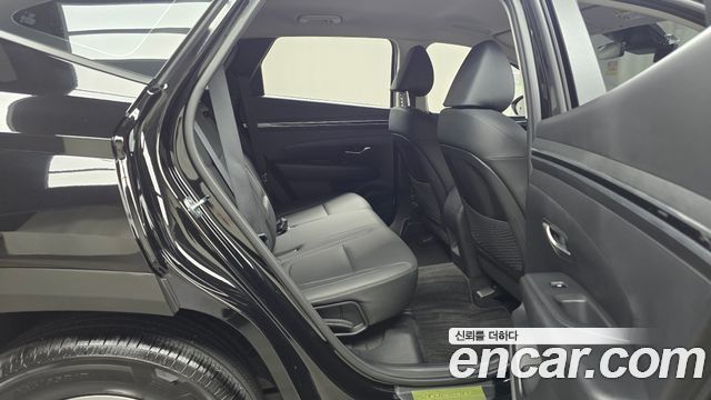 Hyundai Tucson (NX4) Diesel 2.0 2WD Modern 2023 — фото 12