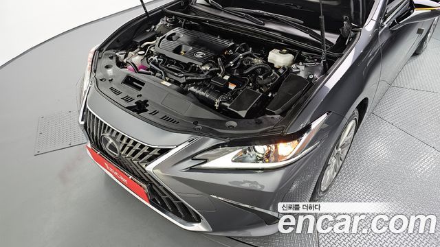Lexus ES300h (VII) Luxury Plus 2023 — фото 6