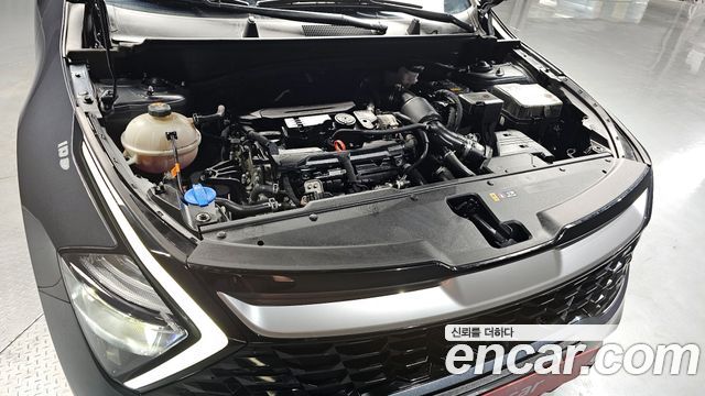 Kia Sportage (V) Gasoline 1.6 Turbo 2WD Prestige 2024 — фото 6