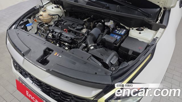 Kia Sportage (V) Gasoline 1.6 Turbo 2WD Trendy 2022 — фото 6