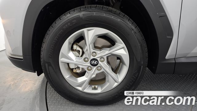 Hyundai Tucson (NX4) Diesel 2.0 2WD Modern 2023 — фото 5