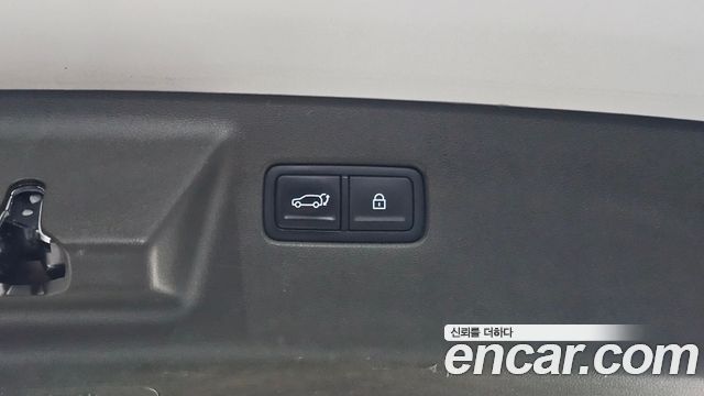Hyundai Santa Fe (MX5) HEV 1.6 2WD Calligraphy 2024 — фото 20
