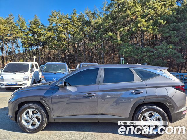 Hyundai Tucson (NX4) Gasoline 1.6 Turbo 2WD Modern 2022 — фото 7