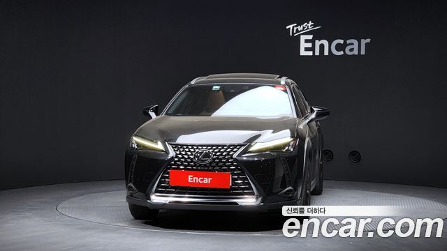 Lexus UX250h 2.0 2WD 2024 — фото 3