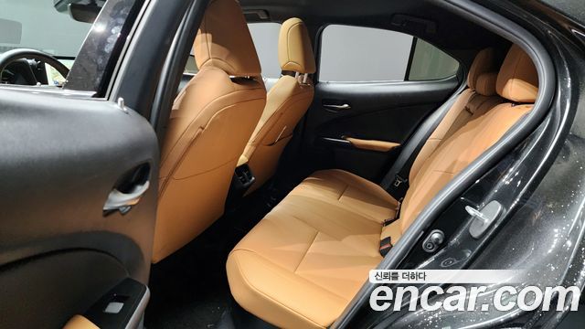 Lexus UX250h 2.0 2WD 2024 — фото 12