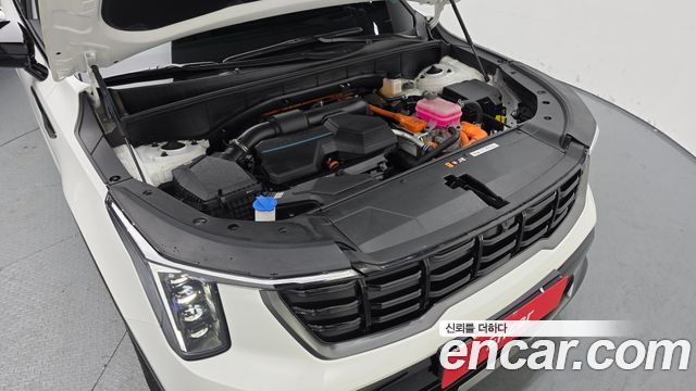 Kia Sorento (IV) HEV 1.6 2WD Gravity 2024 — фото 6