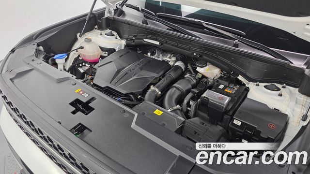 Hyundai Santa Fe (MX5) Gasoline 2.5T 2WD Calligraphy 2024 — фото 6