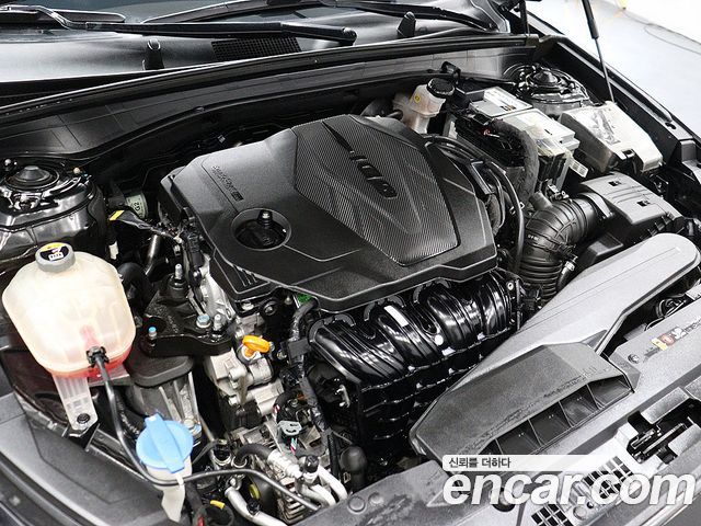 Kia K8 2.5 Gasoline 2WD Noblesse 2023 — фото 23