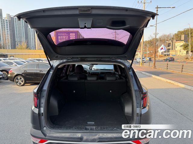 Hyundai Tucson (NX4) Diesel 2.0 2WD Premium 2021 — фото 19