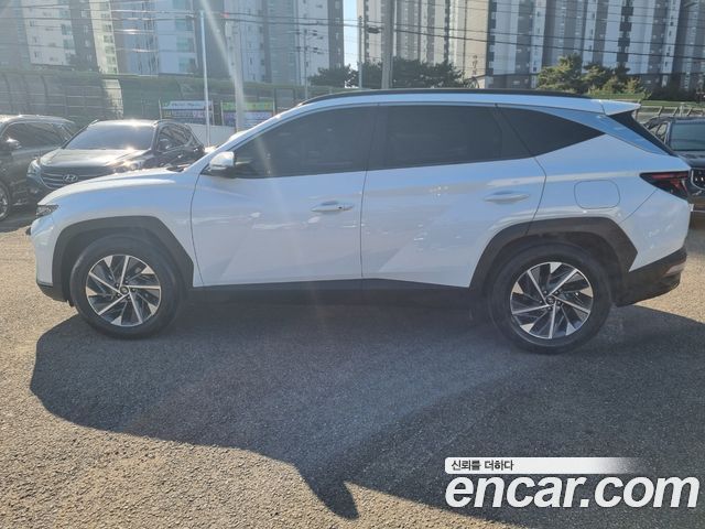 Hyundai Tucson (NX4) Gasoline 1.6 Turbo 2WD Premium 2022 — фото 4