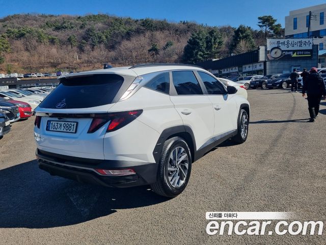 Hyundai Tucson (NX4) Gasoline 1.6 Turbo 2WD Premium 2022 — фото 5