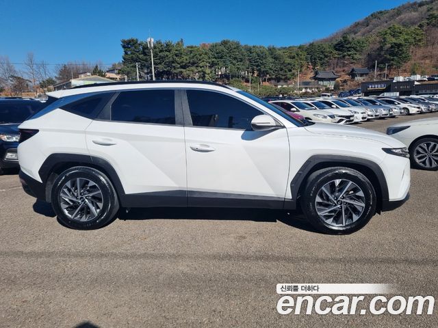 Hyundai Tucson (NX4) Gasoline 1.6 Turbo 2WD Premium 2022 — фото 8