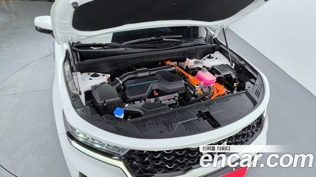 Kia Sorento (IV) HEV 1.6 2WD Noblesse 2022 — фото 6