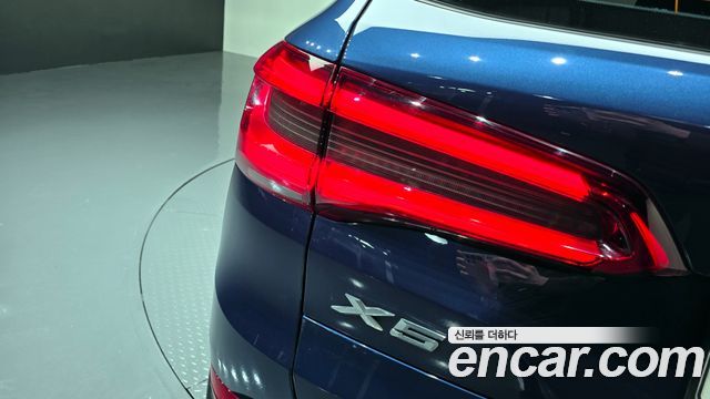 BMW X5 (G05) xDrive 30d xLine 2020 — фото 29