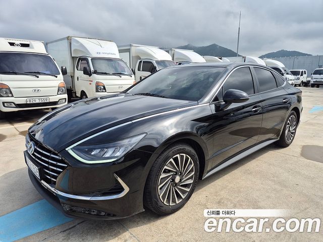 Hyundai Sonata Hybrid (DN8) Premium Plus