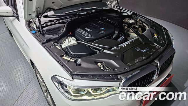 BMW 5 Series (G30) 520d xDrive M Sport Package Plus 2017 — фото 6