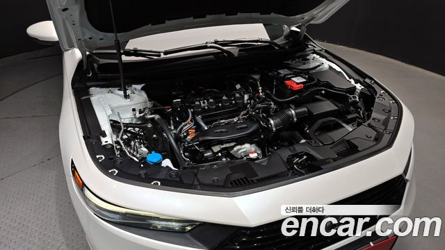 Honda Accord (XI) 1.5 Turbo 2024 — фото 6