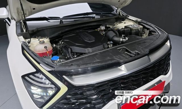 Kia Sportage (V) Diesel 2.0 4WD Signature 2022 — фото 6