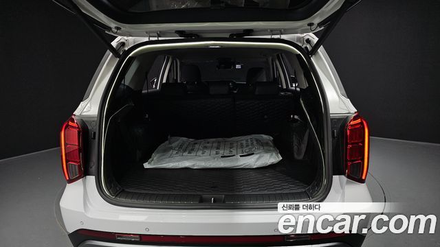 Hyundai Palisade Diesel 2.2 2WD Le Blanc 2024 — фото 20