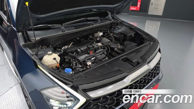 Kia Sportage (V) Gasoline 1.6 Turbo 2WD Signature Gravity 2022 — фото 6