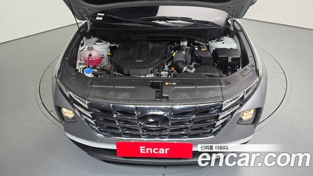 Hyundai Tucson (NX4) Diesel 2.0 2WD Modern 2023 — фото 6