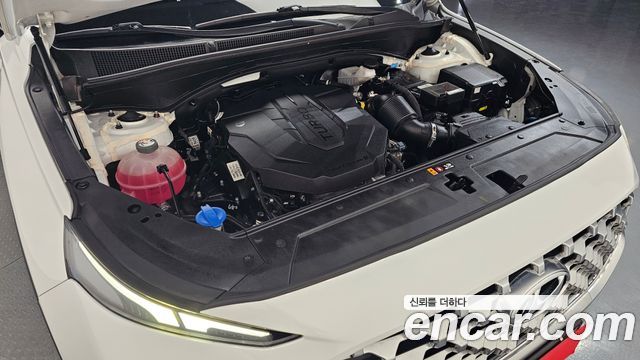 Hyundai Santa Fe Diesel 2.2 2WD Premium Choice 2021 — фото 6