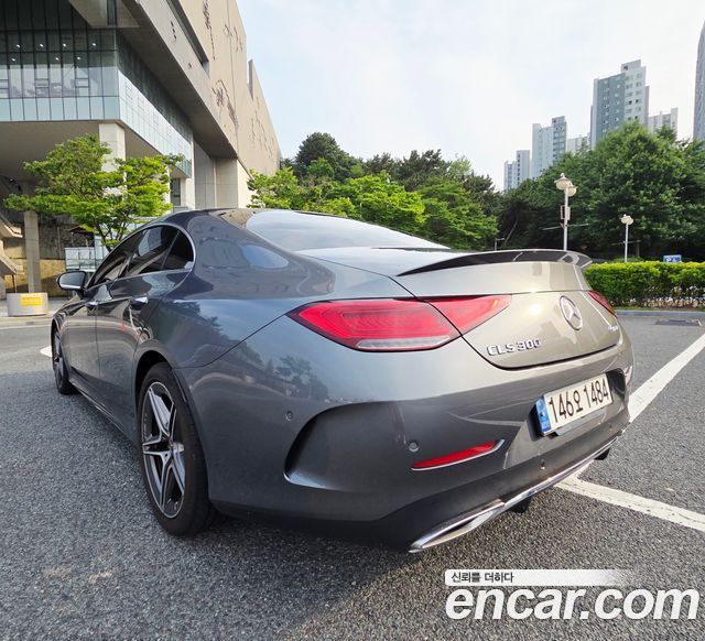 Mercedes-Benz CLS-Class (C257) CLS300d 4MATIC 2022 — фото 2