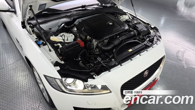 Jaguar XF (X260) 20d Prestige AWD 2017 — фото 6