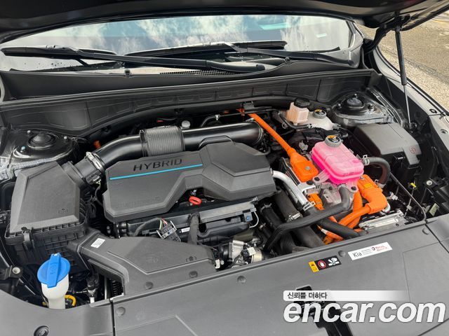 Kia Sorento (IV) HEV 1.6 2WD Gravity 2024 — фото 21
