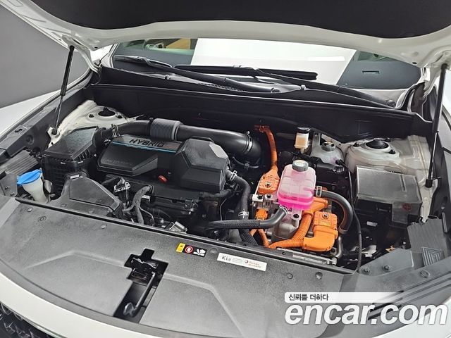 Kia Sorento (IV) HEV 1.6 2WD Noblesse 2022 — фото 6