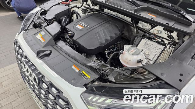 Audi Q5 (FY) 45 TFSI Quattro Sportback Premium 2023 — фото 6