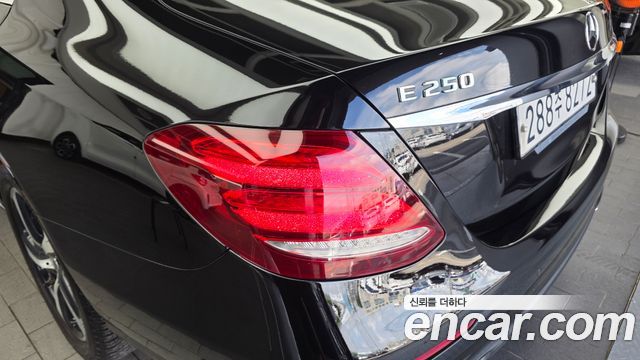 Mercedes-Benz E-Class (W213) E250 Avantgarde 2020 — фото 23