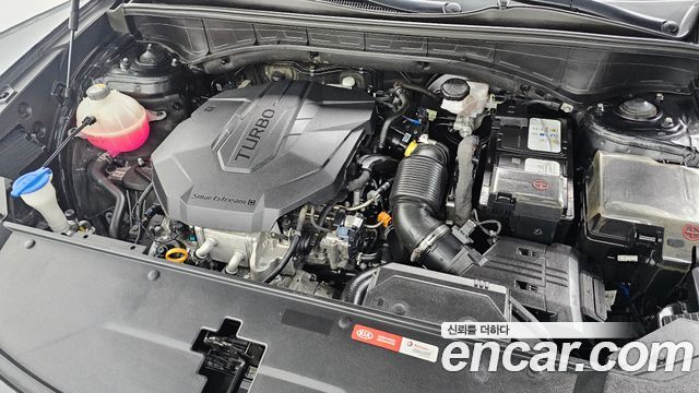 Kia Sorento (IV) Diesel 2.2 2WD Trendy 2021 — фото 6