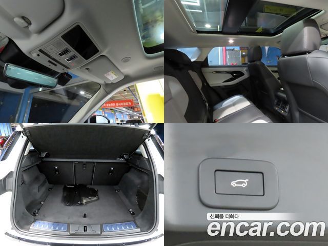 Land Rover Range Rover Evoque (II) P250 Dynamic SE 2024 — фото 24