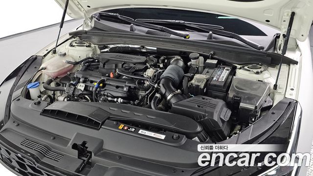 Kia K5 (III) 1.6 Turbo Noblesse 2024 — фото 6