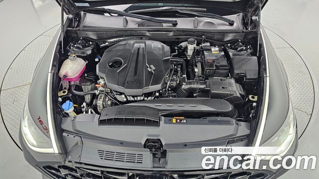 Hyundai Sonata (DN8) 2.0 Premium Plus 2023 — фото 6