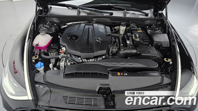 Hyundai Sonata (DN8) 2.0 Premium Plus 2023 — фото 6