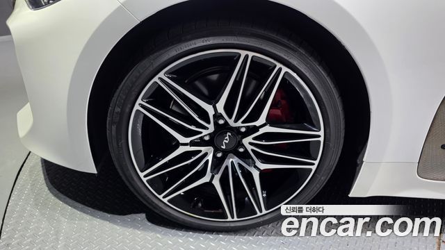 Kia Stinger Meister 2.5 AWD Masters 2023 — фото 5