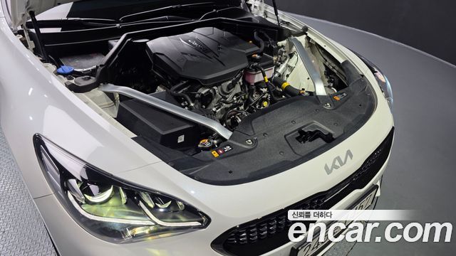 Kia Stinger Meister 2.5 AWD Masters 2023 — фото 6