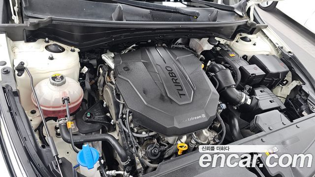 Kia Sportage (V) Diesel 2.0 2WD Nobleless 2024 — фото 6