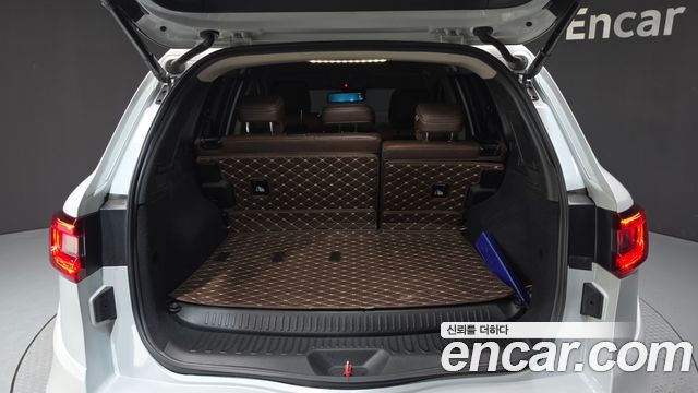 Renault Korea QM6 2.0 LPe RE Signature 2WD 2020 — фото 18