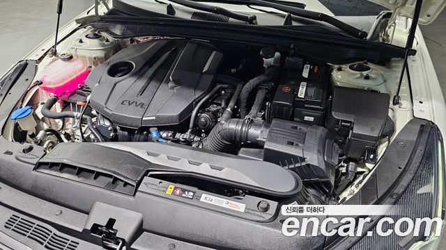 Kia K5 (III) 2.0 Noblesse 2022 — фото 6