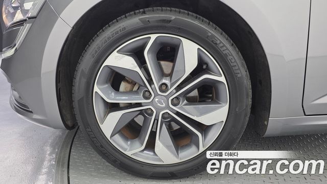 Renault Korea SM6 2.0 LPe LE (Disabled) 2019 — фото 5