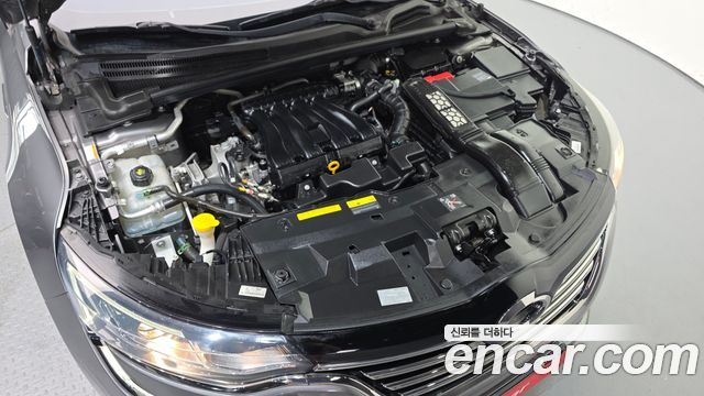 Renault Korea SM6 2.0 LPe LE (Disabled) 2019 — фото 6