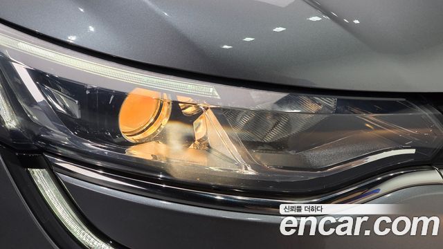 Renault Korea SM6 2.0 LPe LE (Disabled) 2019 — фото 22