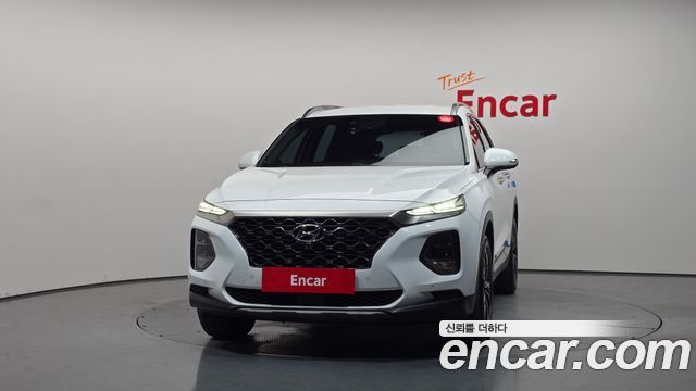 Hyundai Santa Fe (TM) Diesel 2,0 4WD Exclusive Special 2019 — фото 3