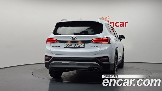 Hyundai Santa Fe (TM) Diesel 2,0 4WD Exclusive Special 2019 — фото 4