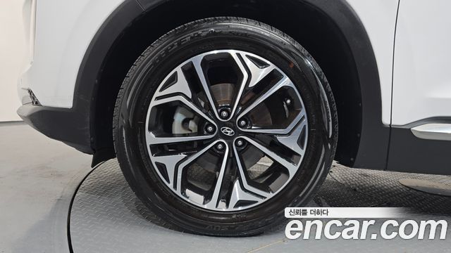 Hyundai Santa Fe (TM) Diesel 2,0 4WD Exclusive Special 2019 — фото 5