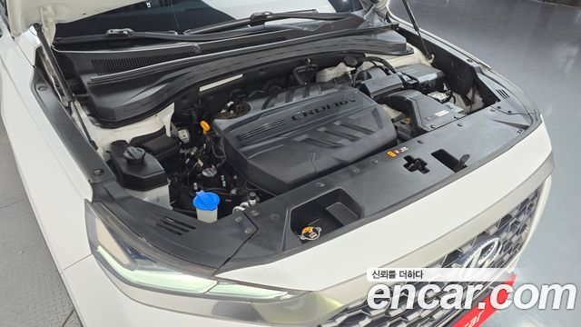 Hyundai Santa Fe (TM) Diesel 2,0 4WD Exclusive Special 2019 — фото 6